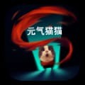 元气猫咪