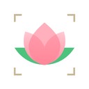 识花君