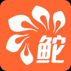 鮀城通