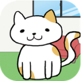 我的猫咪呢