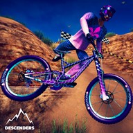 Descenders Mountain Bike