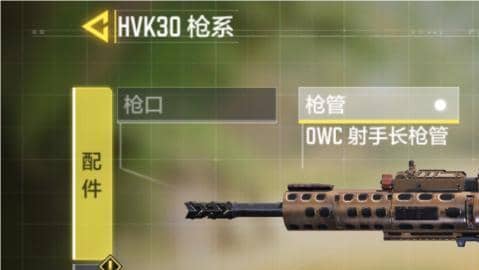 使命召唤配件搭配 步枪HVK30配件选择与强度解读